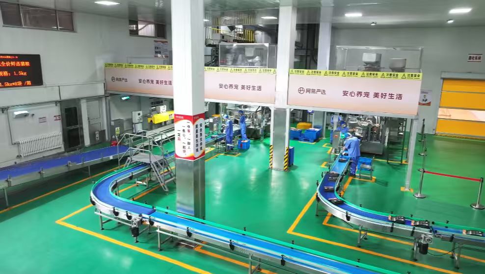 从一袋宠物粮到一条产业链——泰安市宠物食品特色小镇突围“它经济”，产品远销40多个国家和地区