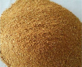 家禽的饲料配制 科学营养与高效养殖的关键