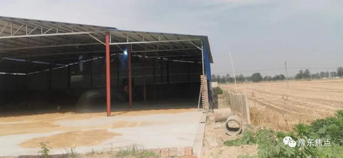 河南虞城大侯乡 养猪厂转型收粮站，发展家禽养殖新路径